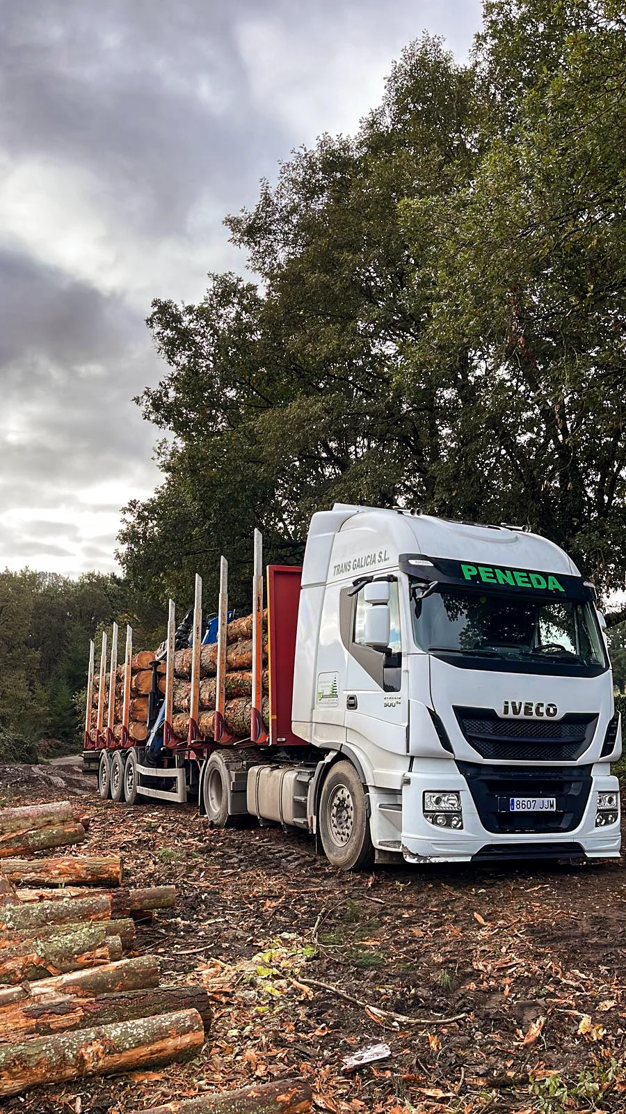 COMPRA Y TRANSPORTE DE MADERA