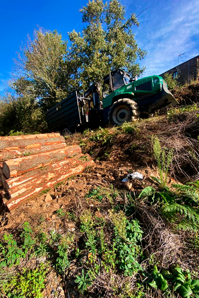 astillado de biomasa