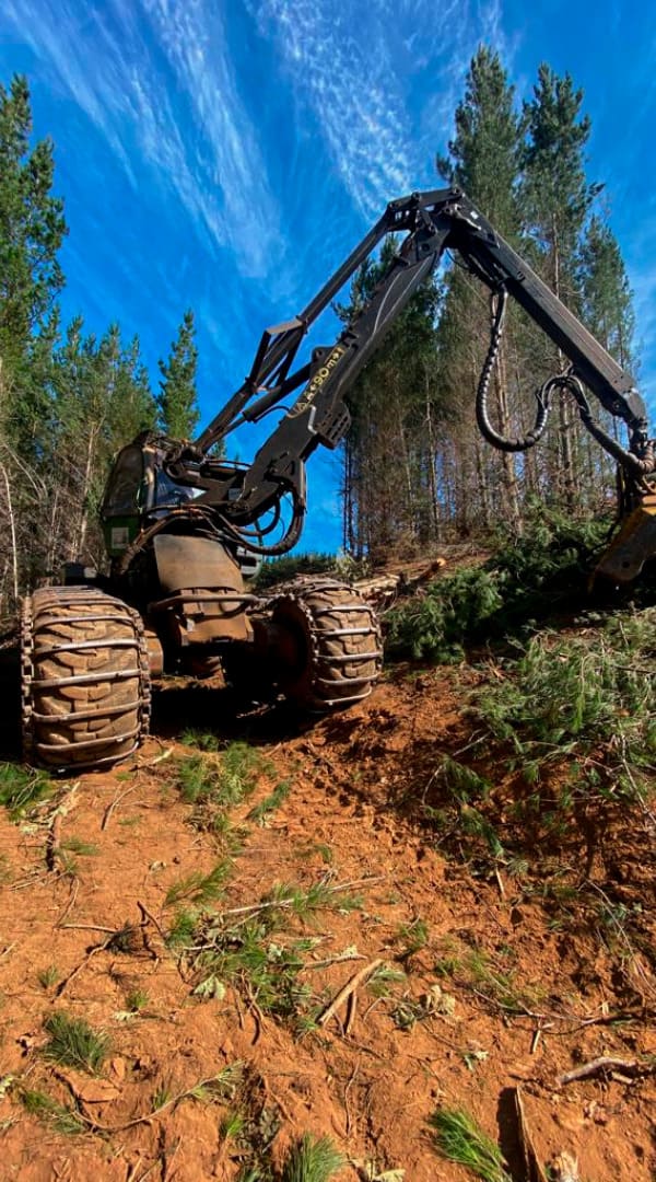 RESTOS FORESTALES Y DE ASERRADERO